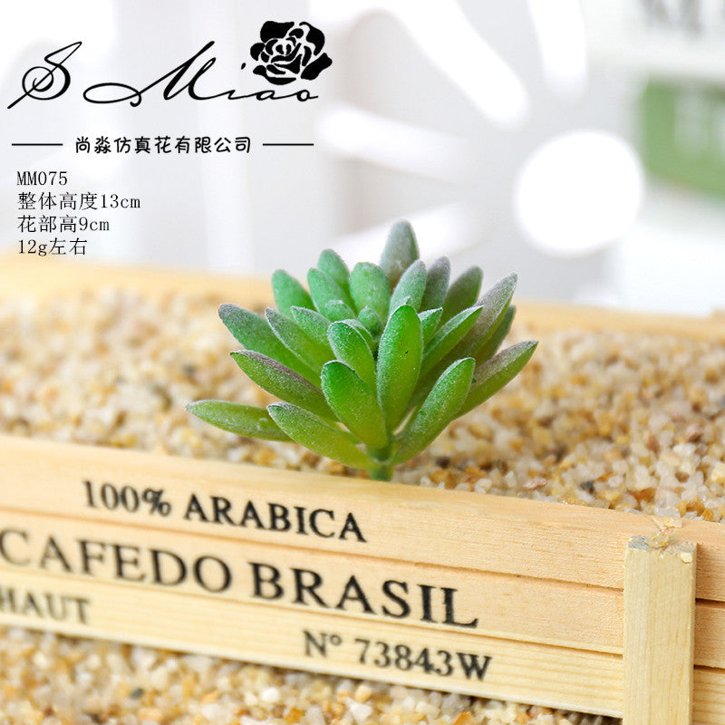 Artificial green succulent flower head creative DIY supplies bonsai accessories artificial flower Jinhua directly from the manufacturer