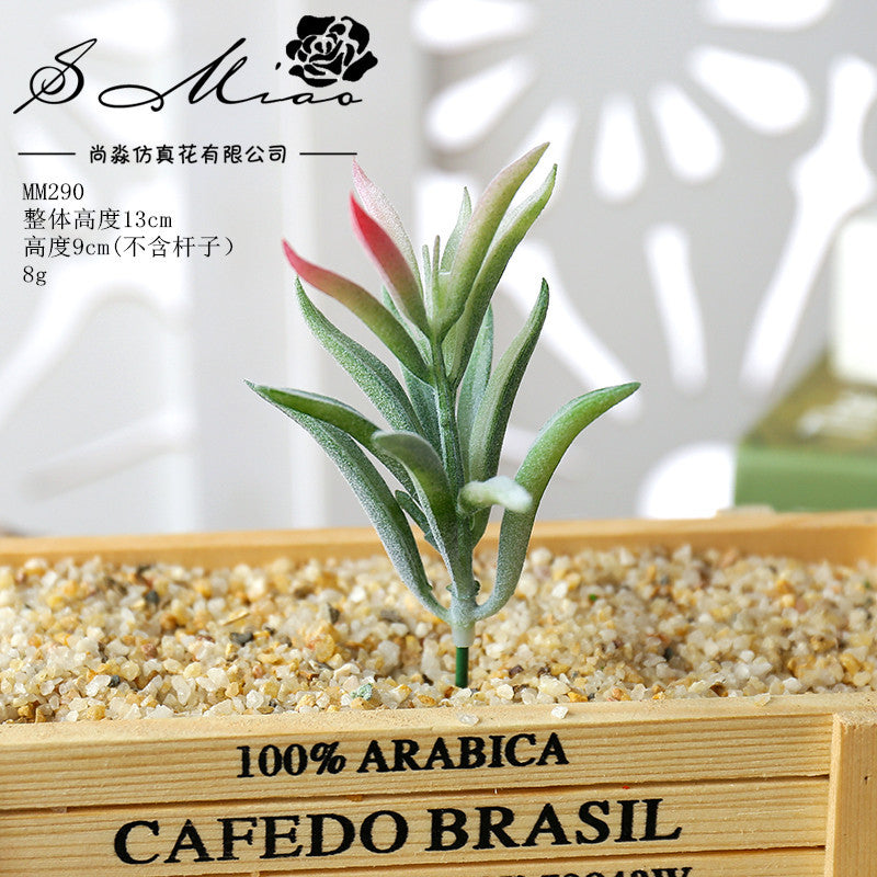 Artificial green succulent flower head creative DIY supplies bonsai accessories artificial flower Jinhua directly from the manufacturer