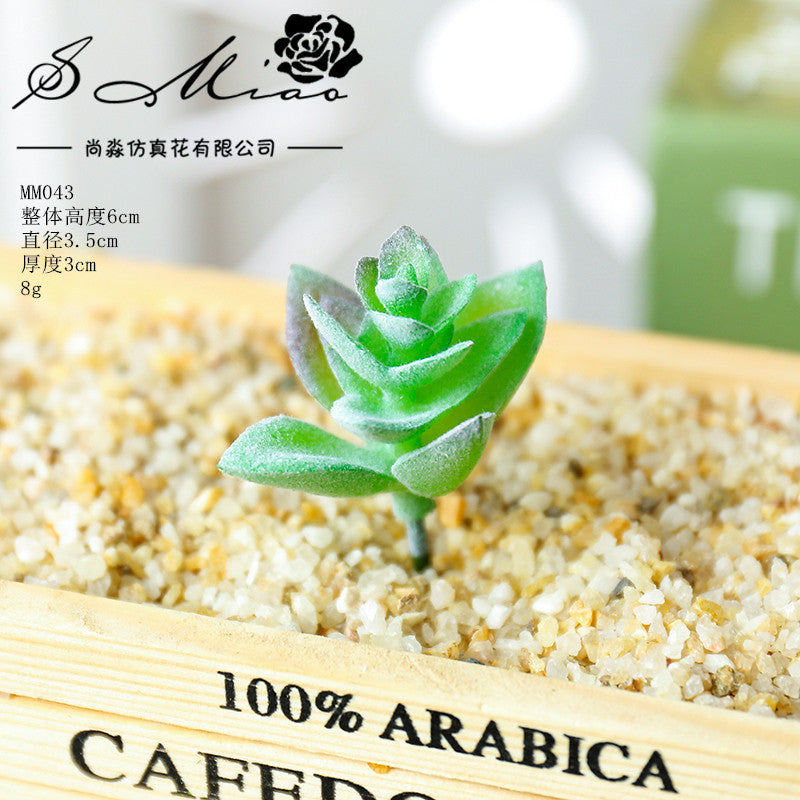 Artificial green succulent flower head creative DIY supplies bonsai accessories artificial flower Jinhua directly from the manufacturer