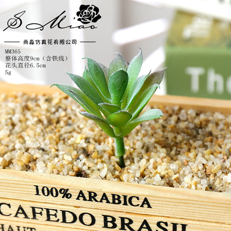Artificial green succulent flower head creative DIY supplies bonsai accessories artificial flower Jinhua directly from the manufacturer
