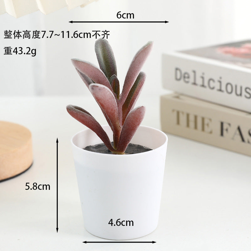 Simulated succulent potted plants wholesale, fake succulent plants with pot mixed batch factory direct sales office green plant ornament