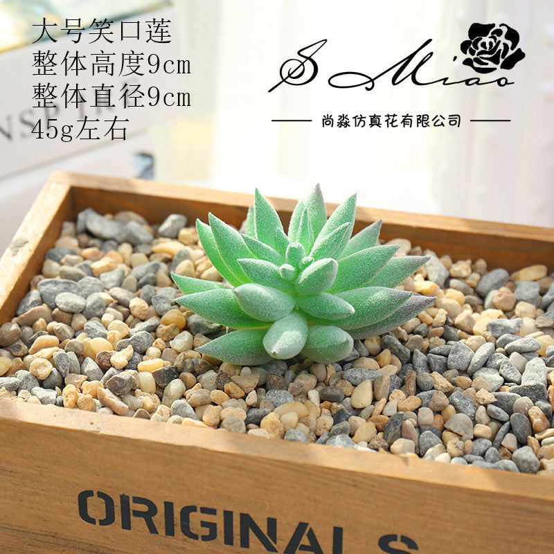 Artificial green succulent flower head creative DIY supplies bonsai accessories artificial flower Jinhua directly from the manufacturer