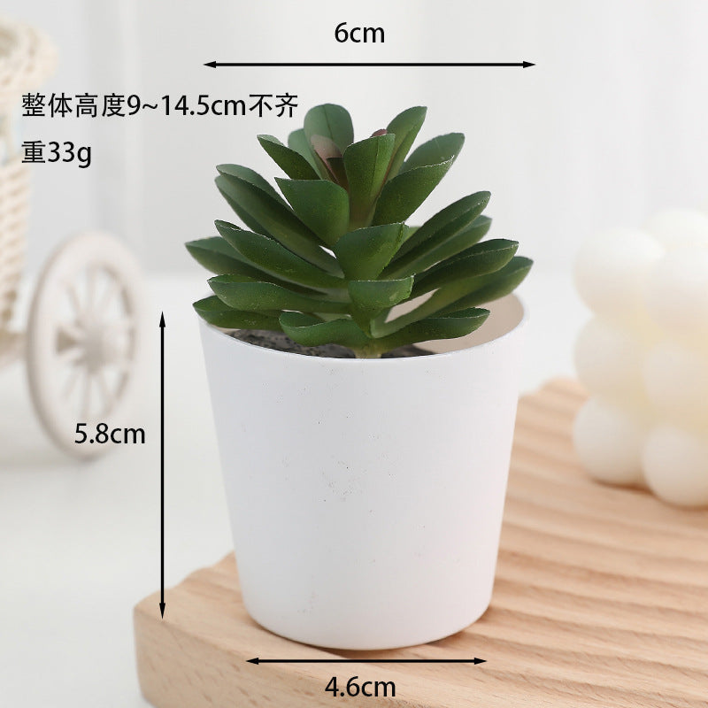 Simulated succulent potted plants wholesale, fake succulent plants with pot mixed batch factory direct sales office green plant ornament