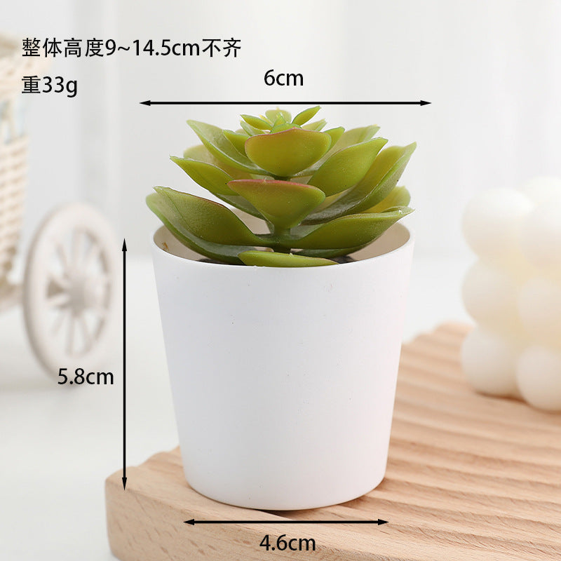 Simulated succulent potted plants wholesale, fake succulent plants with pot mixed batch factory direct sales office green plant ornament