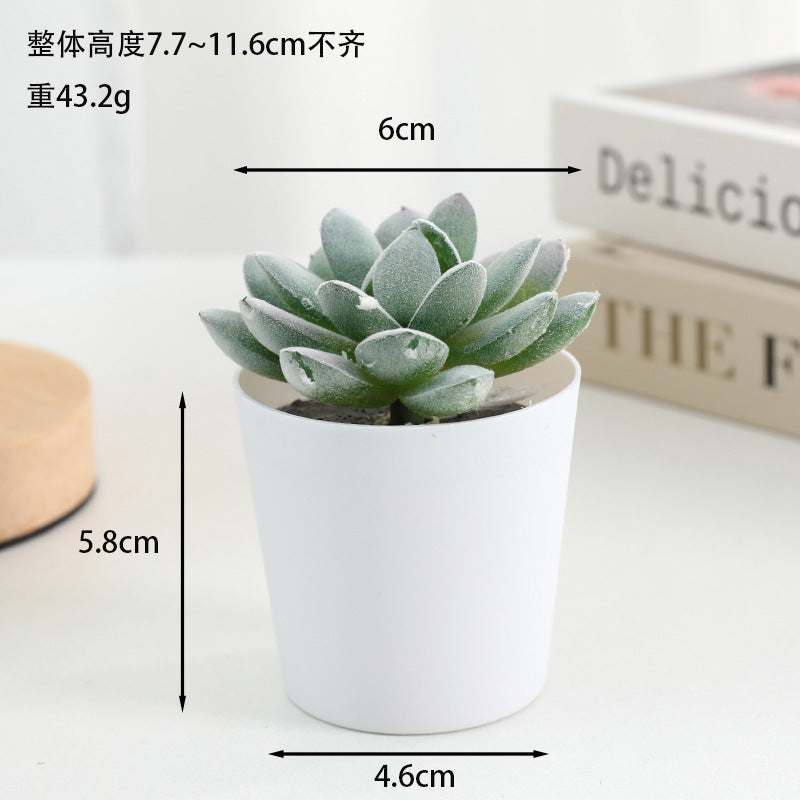 Simulated succulent potted plants wholesale, fake succulent plants with pot mixed batch factory direct sales office green plant ornament