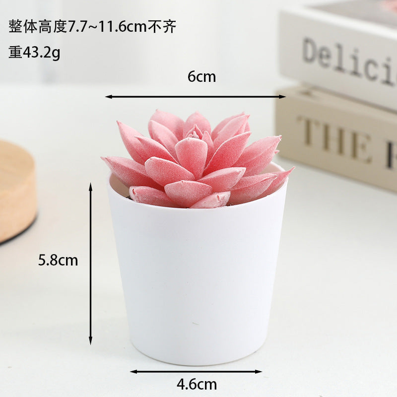 Simulated succulent potted plants wholesale, fake succulent plants with pot mixed batch factory direct sales office green plant ornament