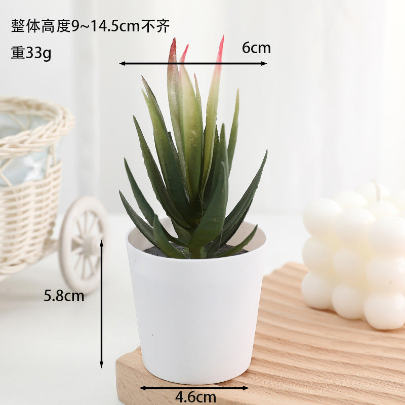 Simulated succulent potted plants wholesale, fake succulent plants with pot mixed batch factory direct sales office green plant ornament