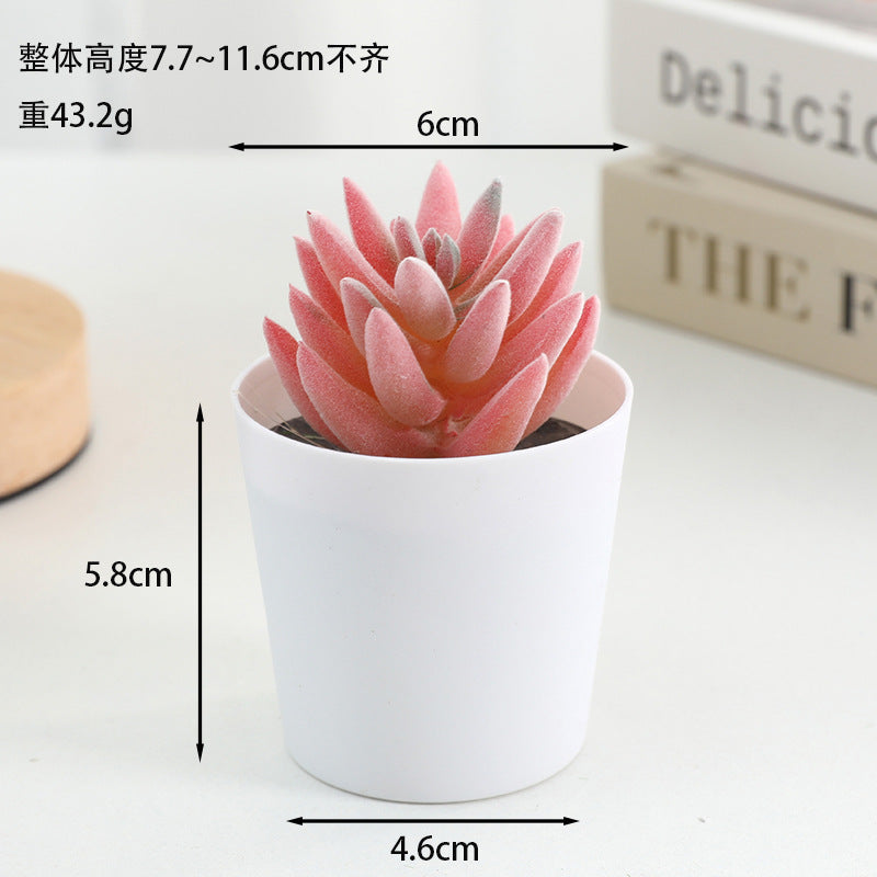 Simulated succulent potted plants wholesale, fake succulent plants with pot mixed batch factory direct sales office green plant ornament