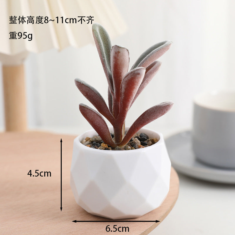 Simulated succulent potted plants wholesale, fake succulent plants with pot mixed batch factory direct sales office green plant ornament