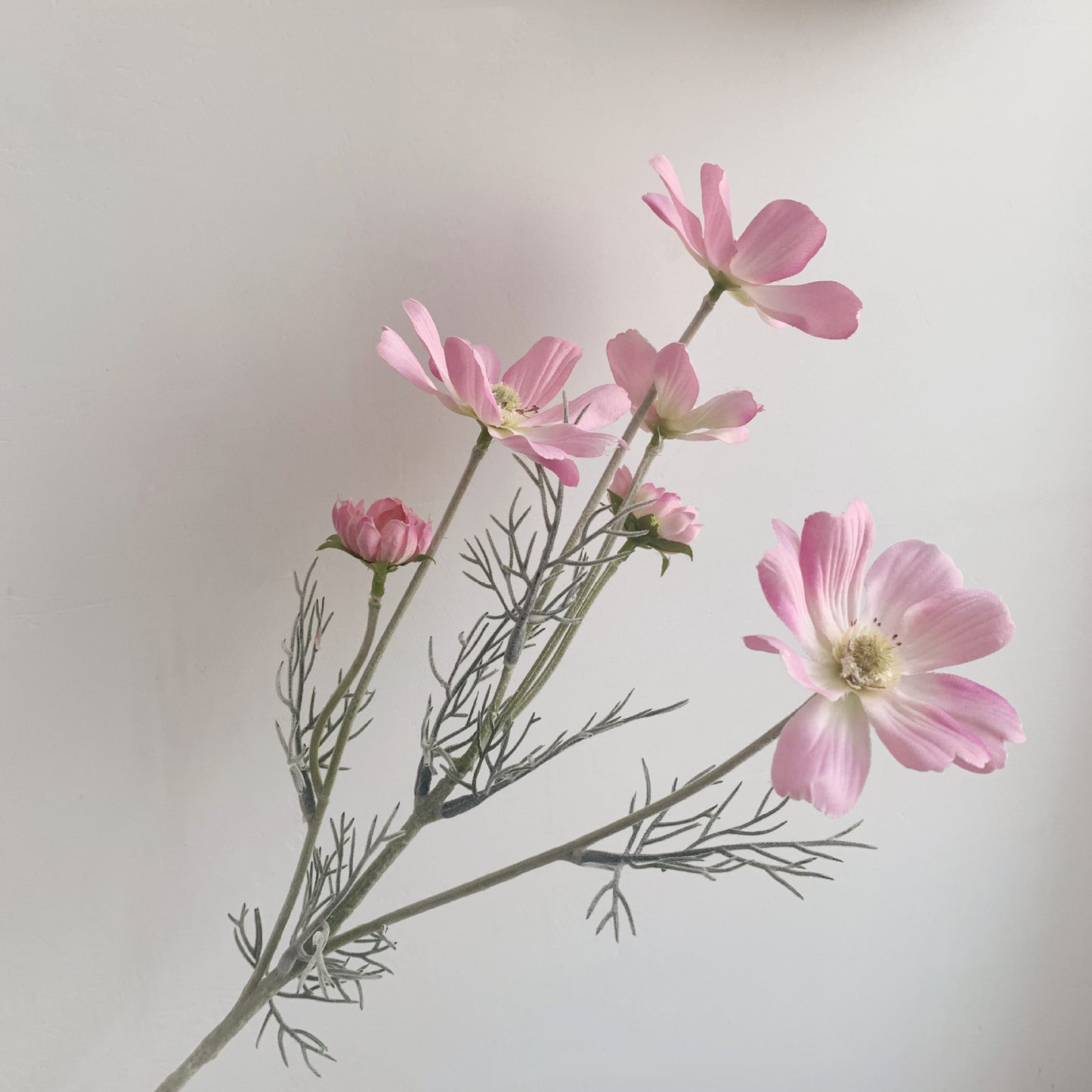 Manufacturer Supply Home Decoration Wedding Fake Flower Pastoral Floral Simulation Flower Silk Flower Gesang Chrysanthemum Small Chrysanthemum Cosmos Chrysanthemum