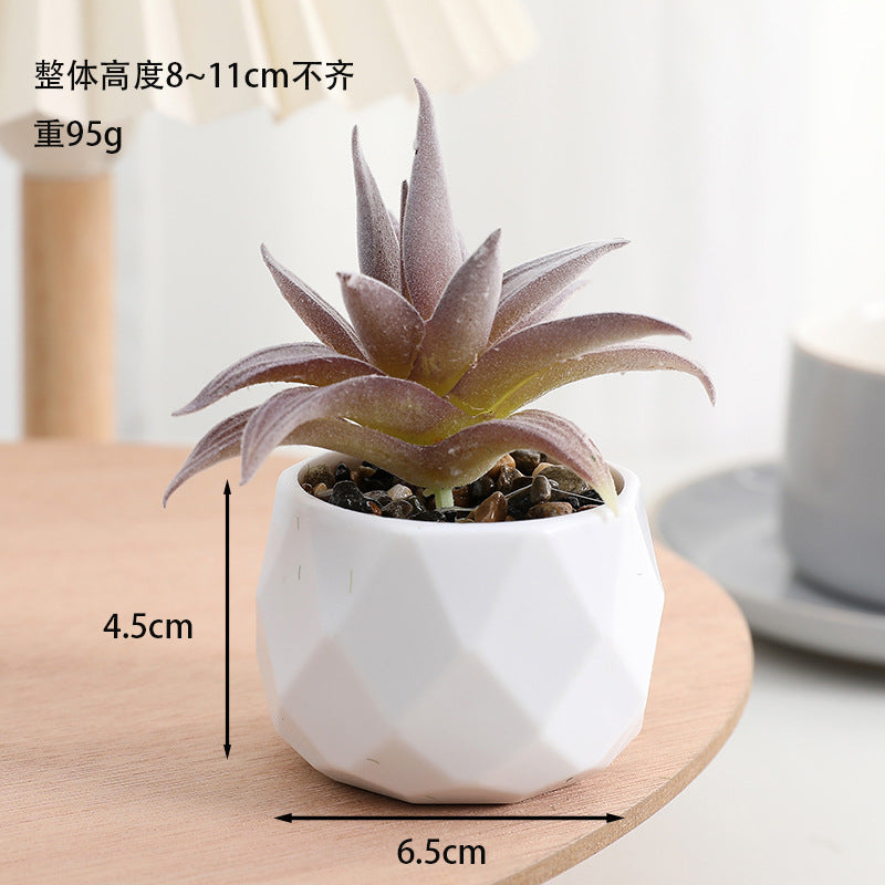 Simulated succulent potted plants wholesale, fake succulent plants with pot mixed batch factory direct sales office green plant ornament