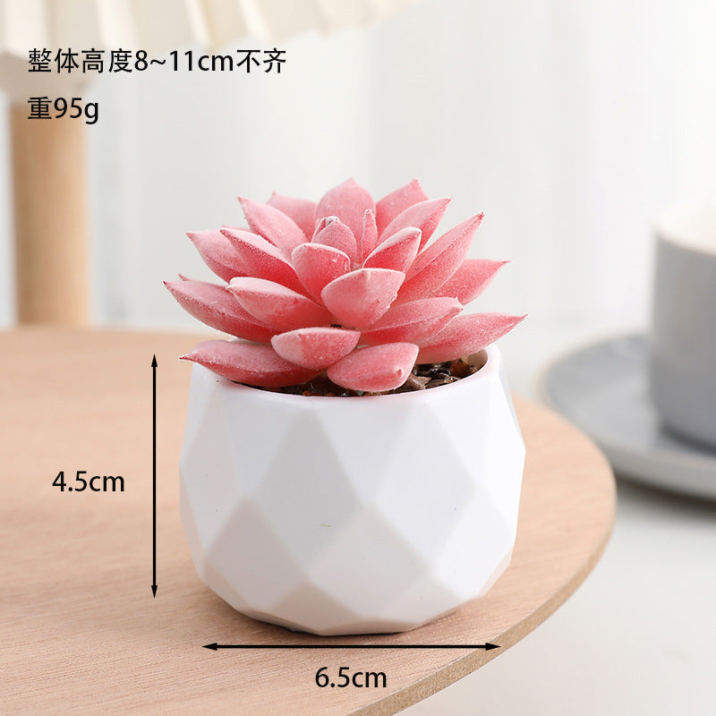 Simulated succulent potted plants wholesale, fake succulent plants with pot mixed batch factory direct sales office green plant ornament