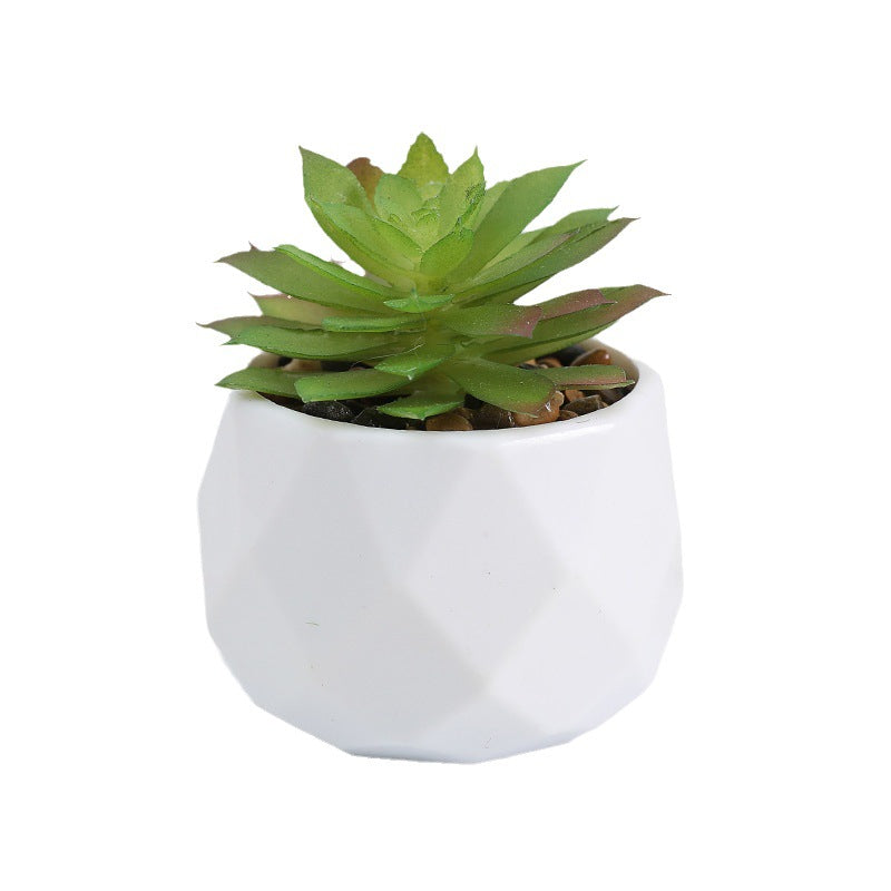 Simulated succulent potted plants wholesale, fake succulent plants with pot mixed batch factory direct sales office green plant ornament