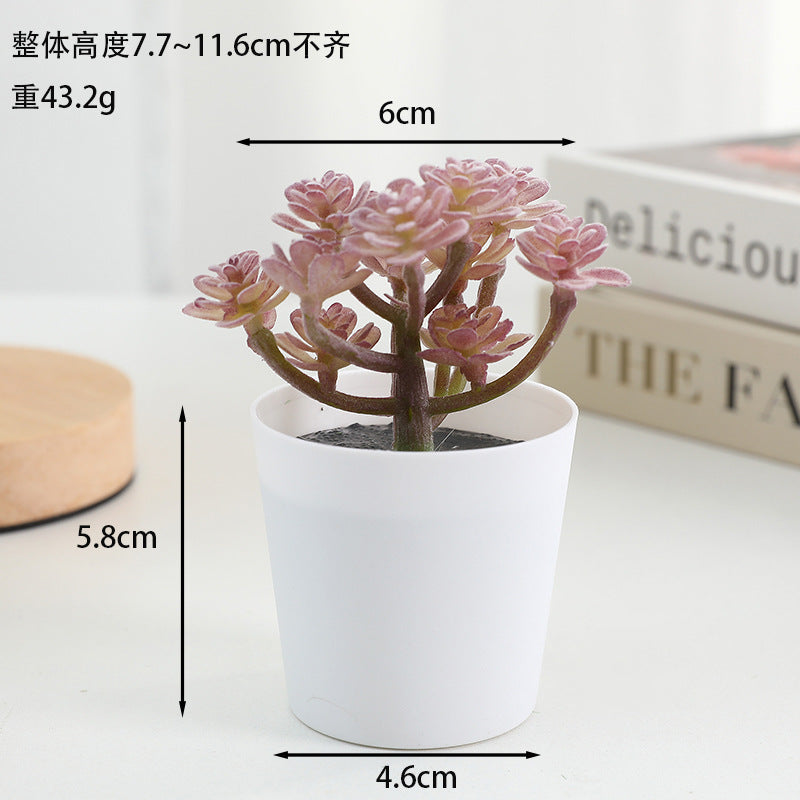 Simulated succulent potted plants wholesale, fake succulent plants with pot mixed batch factory direct sales office green plant ornament