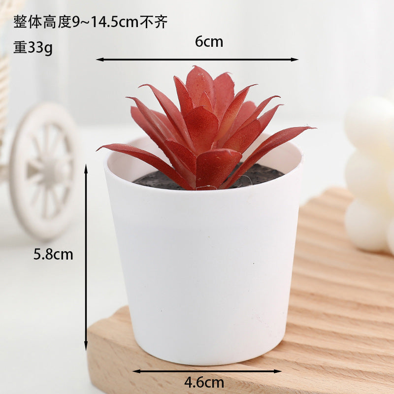 Simulated succulent potted plants wholesale, fake succulent plants with pot mixed batch factory direct sales office green plant ornament