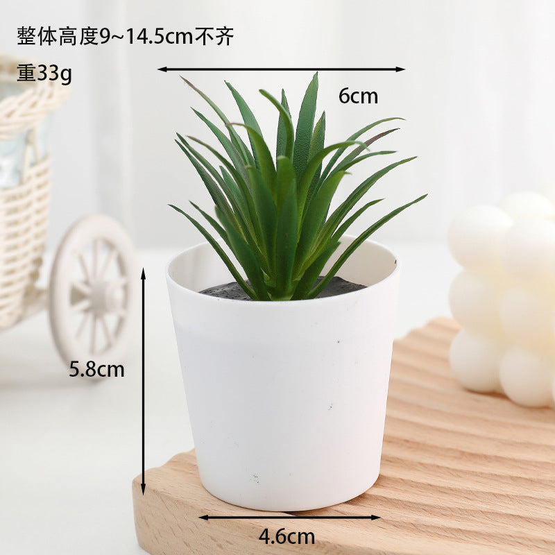 Simulated succulent potted plants wholesale, fake succulent plants with pot mixed batch factory direct sales office green plant ornament