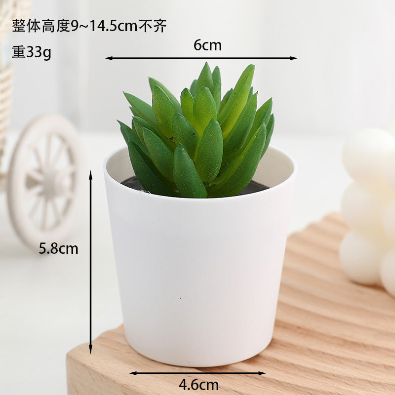 Simulated succulent potted plants wholesale, fake succulent plants with pot mixed batch factory direct sales office green plant ornament