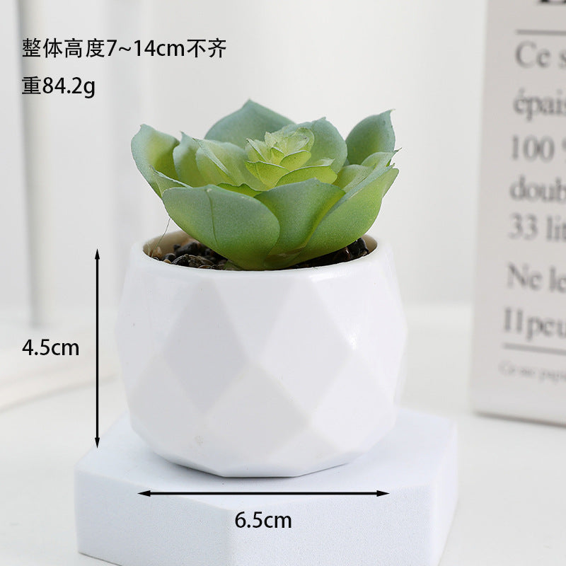 Simulated succulent potted plants wholesale, fake succulent plants with pot mixed batch factory direct sales office green plant ornament