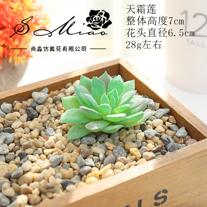 Artificial green succulent flower head creative DIY supplies bonsai accessories artificial flower Jinhua directly from the manufacturer