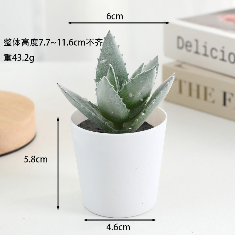 Simulated succulent potted plants wholesale, fake succulent plants with pot mixed batch factory direct sales office green plant ornament