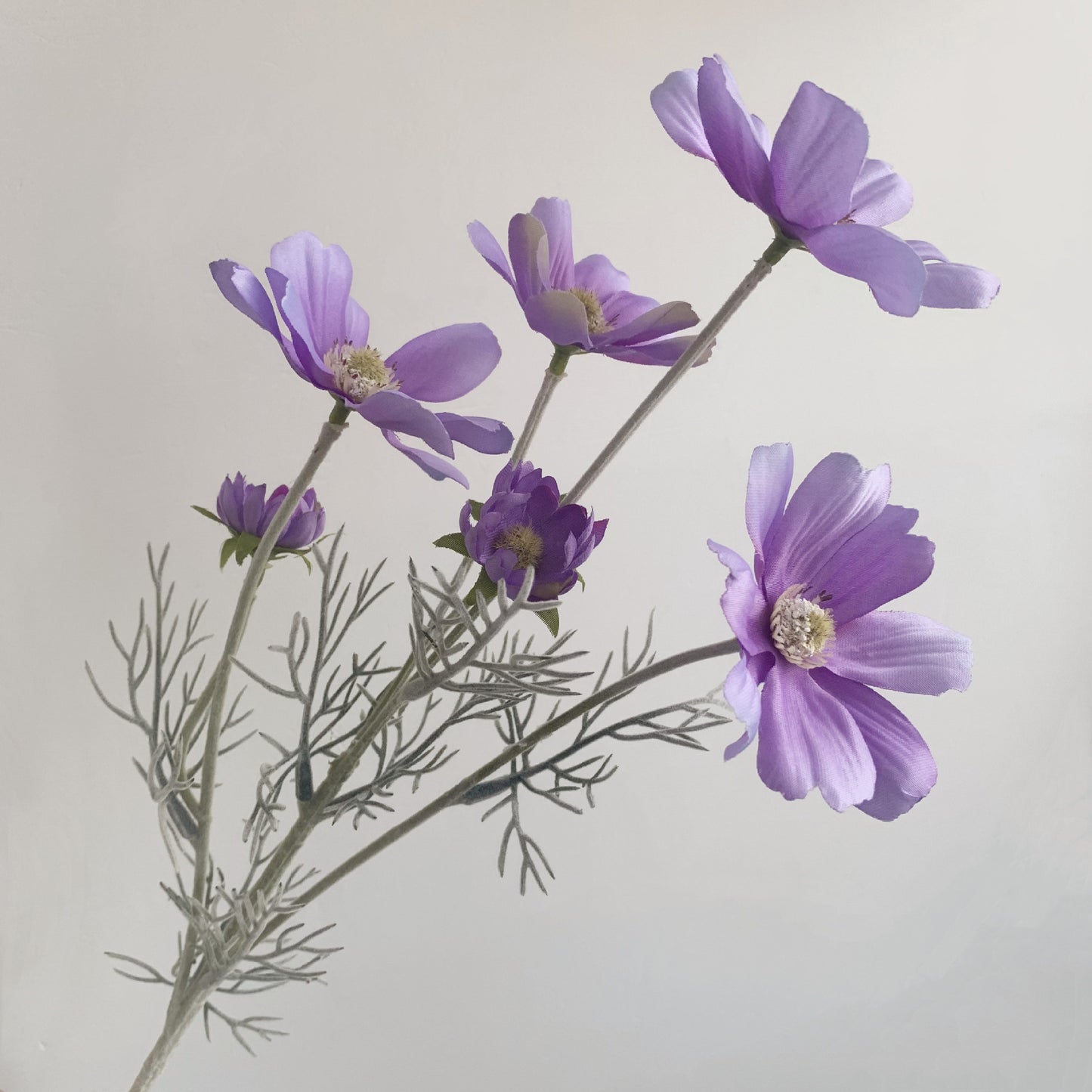 Manufacturer Supply Home Decoration Wedding Fake Flower Pastoral Floral Simulation Flower Silk Flower Gesang Chrysanthemum Small Chrysanthemum Cosmos Chrysanthemum