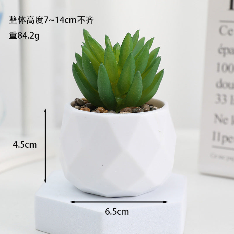 Simulated succulent potted plants wholesale, fake succulent plants with pot mixed batch factory direct sales office green plant ornament