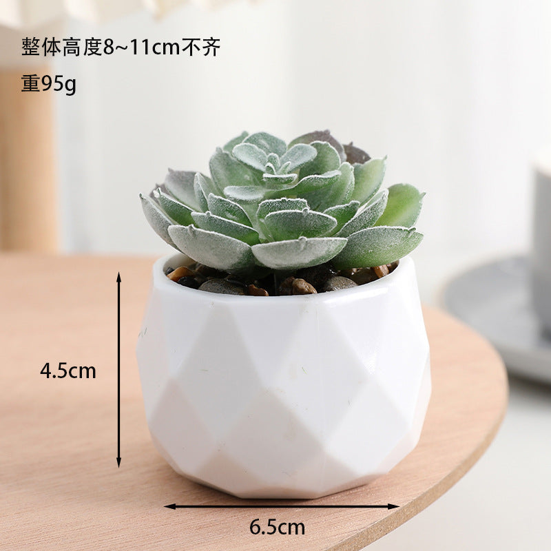 Simulated succulent potted plants wholesale, fake succulent plants with pot mixed batch factory direct sales office green plant ornament
