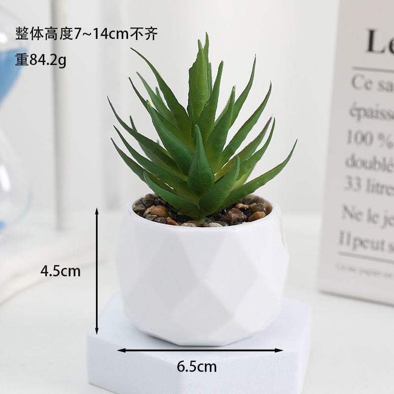 Simulated succulent potted plants wholesale, fake succulent plants with pot mixed batch factory direct sales office green plant ornament