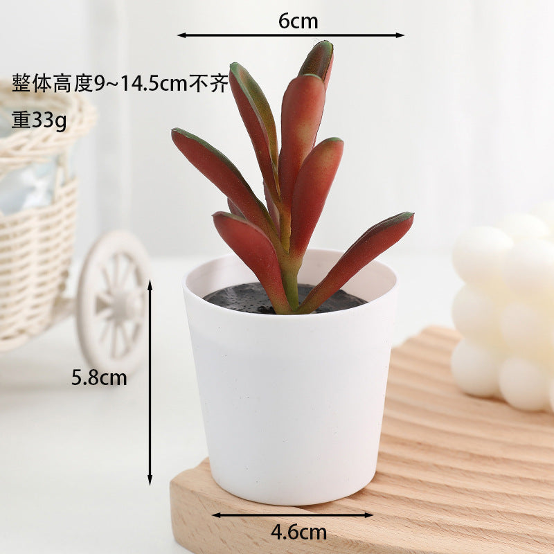 Simulated succulent potted plants wholesale, fake succulent plants with pot mixed batch factory direct sales office green plant ornament