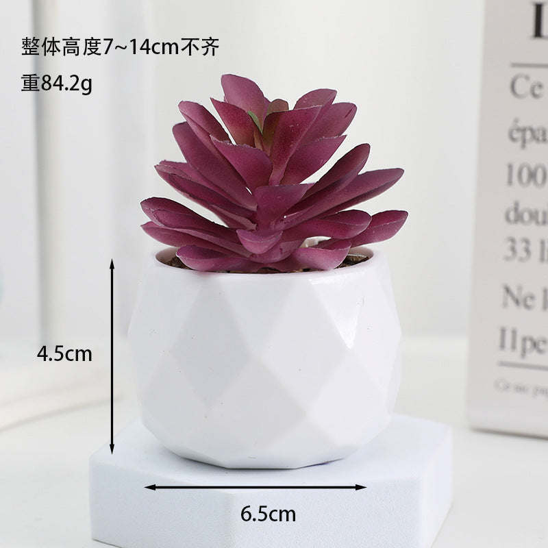 Simulated succulent potted plants wholesale, fake succulent plants with pot mixed batch factory direct sales office green plant ornament