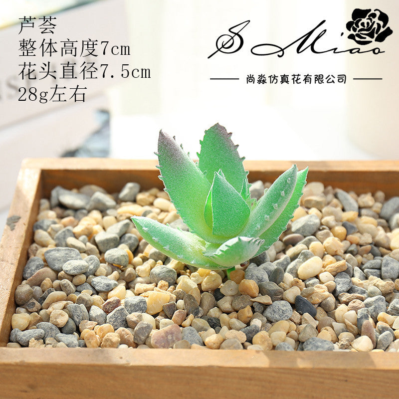 Artificial green succulent flower head creative DIY supplies bonsai accessories artificial flower Jinhua directly from the manufacturer