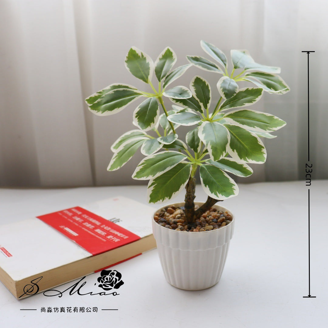 Fake flower fortune tree green plant bonsai artificial plant directly from the manufacturer simulation flower creative home ornament simulation potted plant