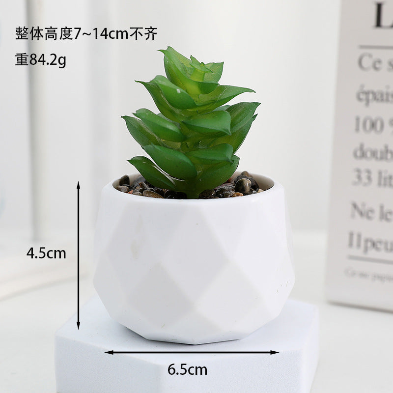 Simulated succulent potted plants wholesale, fake succulent plants with pot mixed batch factory direct sales office green plant ornament