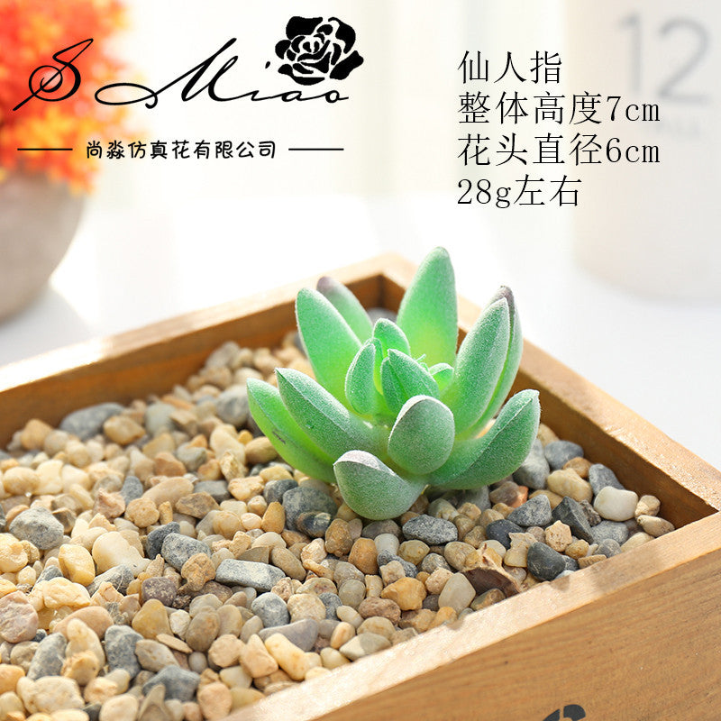 Artificial green succulent flower head creative DIY supplies bonsai accessories artificial flower Jinhua directly from the manufacturer