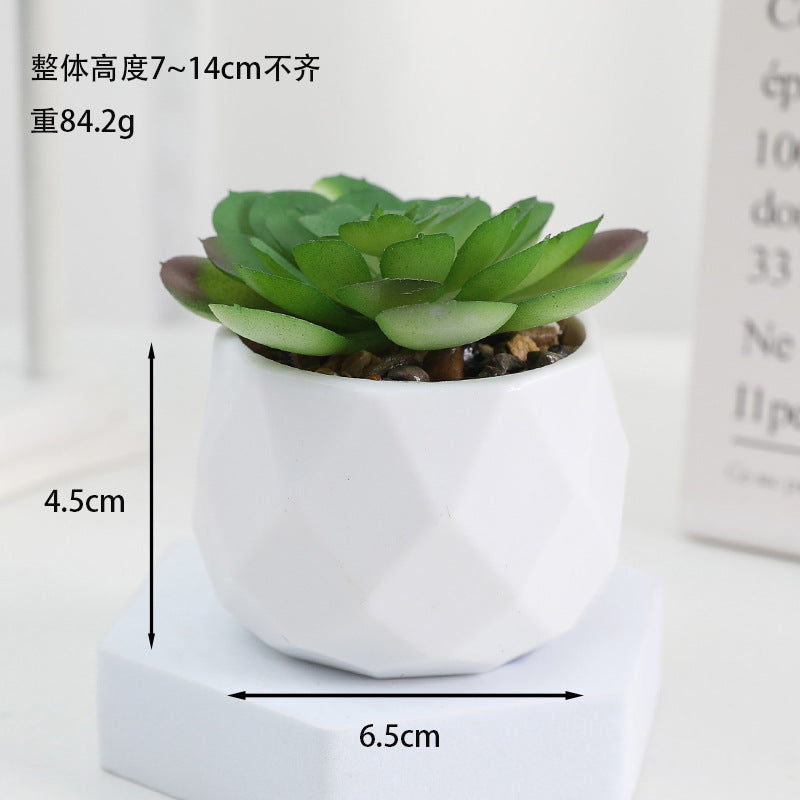Simulated succulent potted plants wholesale, fake succulent plants with pot mixed batch factory direct sales office green plant ornament