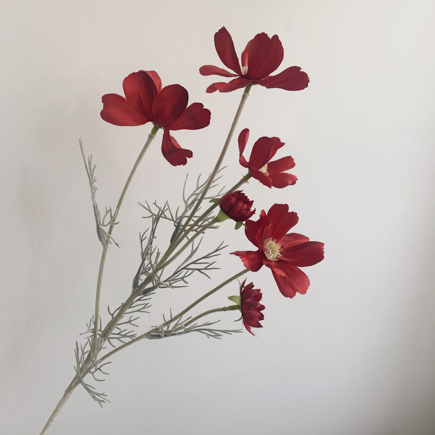 Manufacturer Supply Home Decoration Wedding Fake Flower Pastoral Floral Simulation Flower Silk Flower Gesang Chrysanthemum Small Chrysanthemum Cosmos Chrysanthemum