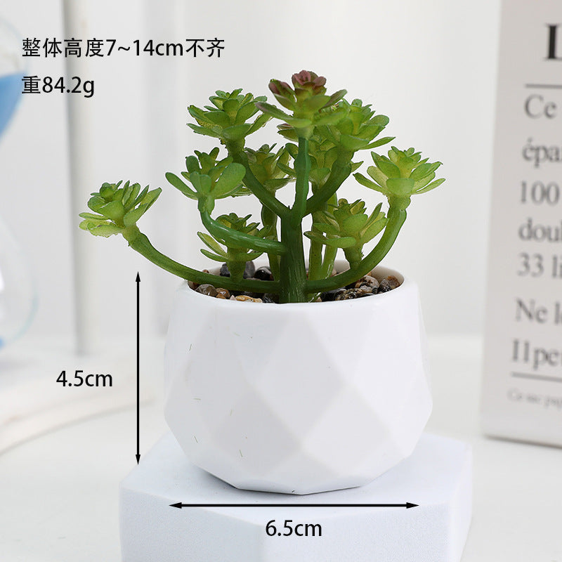 Simulated succulent potted plants wholesale, fake succulent plants with pot mixed batch factory direct sales office green plant ornament