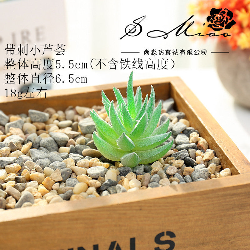 Artificial green succulent flower head creative DIY supplies bonsai accessories artificial flower Jinhua directly from the manufacturer