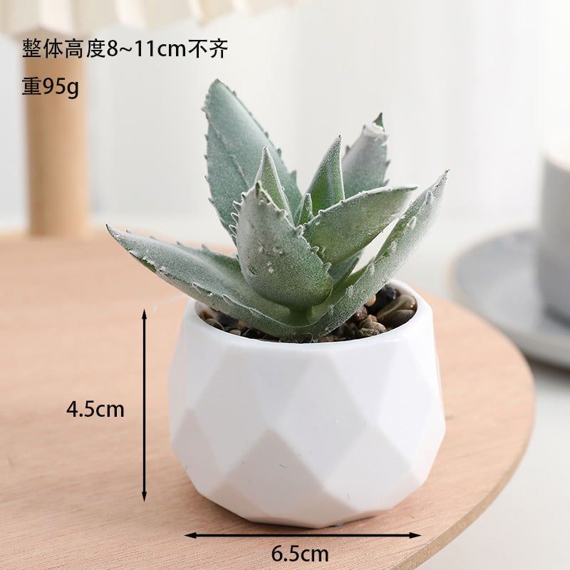 Simulated succulent potted plants wholesale, fake succulent plants with pot mixed batch factory direct sales office green plant ornament