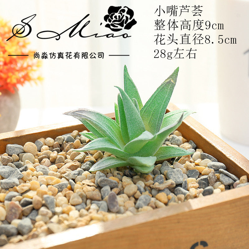 Artificial green succulent flower head creative DIY supplies bonsai accessories artificial flower Jinhua directly from the manufacturer