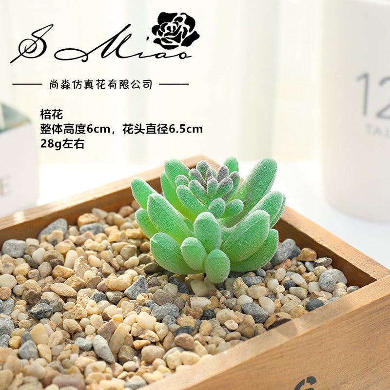 Artificial green succulent flower head creative DIY supplies bonsai accessories artificial flower Jinhua directly from the manufacturer