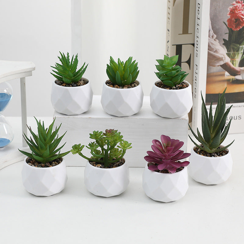 Simulated succulent potted plants wholesale, fake succulent plants with pot mixed batch factory direct sales office green plant ornament