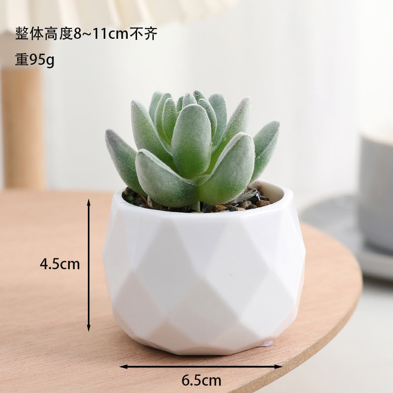 Simulated succulent potted plants wholesale, fake succulent plants with pot mixed batch factory direct sales office green plant ornament