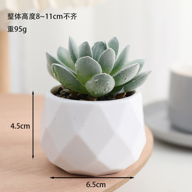 Simulated succulent potted plants wholesale, fake succulent plants with pot mixed batch factory direct sales office green plant ornament
