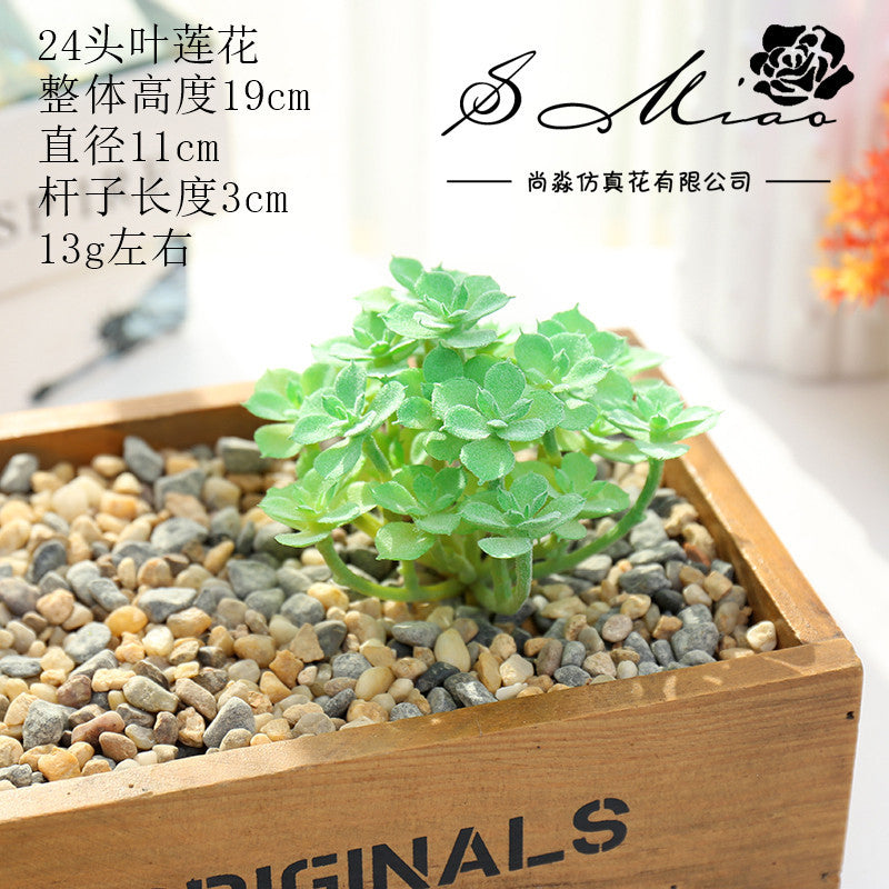 Artificial green succulent flower head creative DIY supplies bonsai accessories artificial flower Jinhua directly from the manufacturer