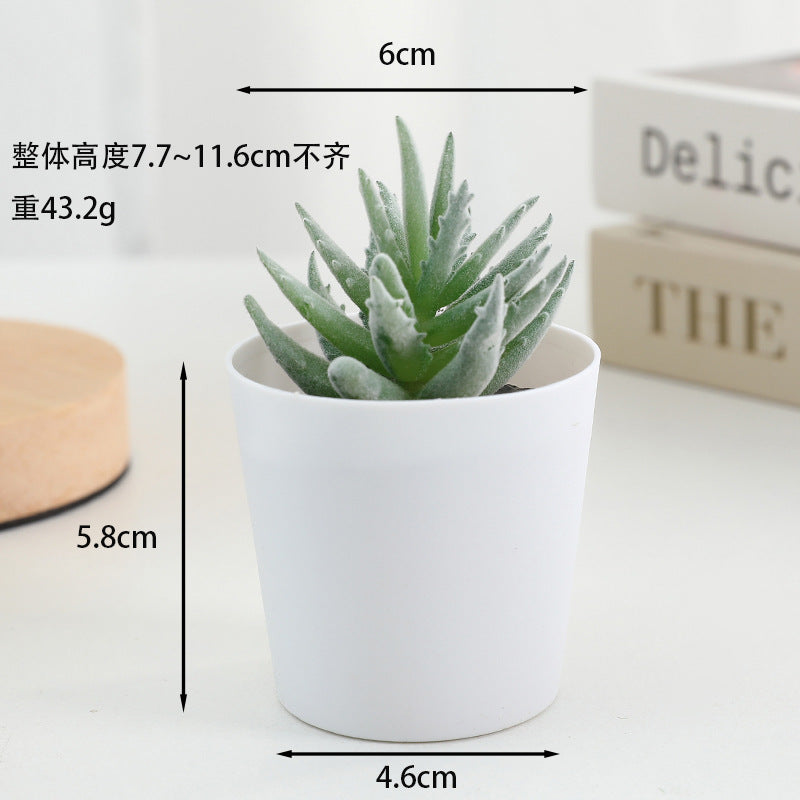 Simulated succulent potted plants wholesale, fake succulent plants with pot mixed batch factory direct sales office green plant ornament