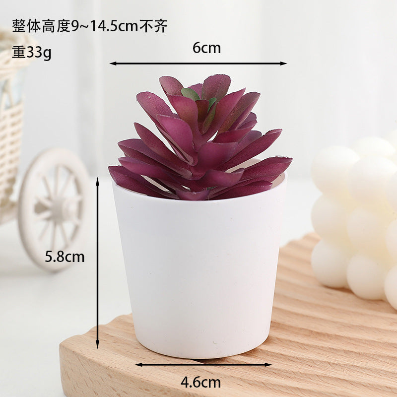 Simulated succulent potted plants wholesale, fake succulent plants with pot mixed batch factory direct sales office green plant ornament