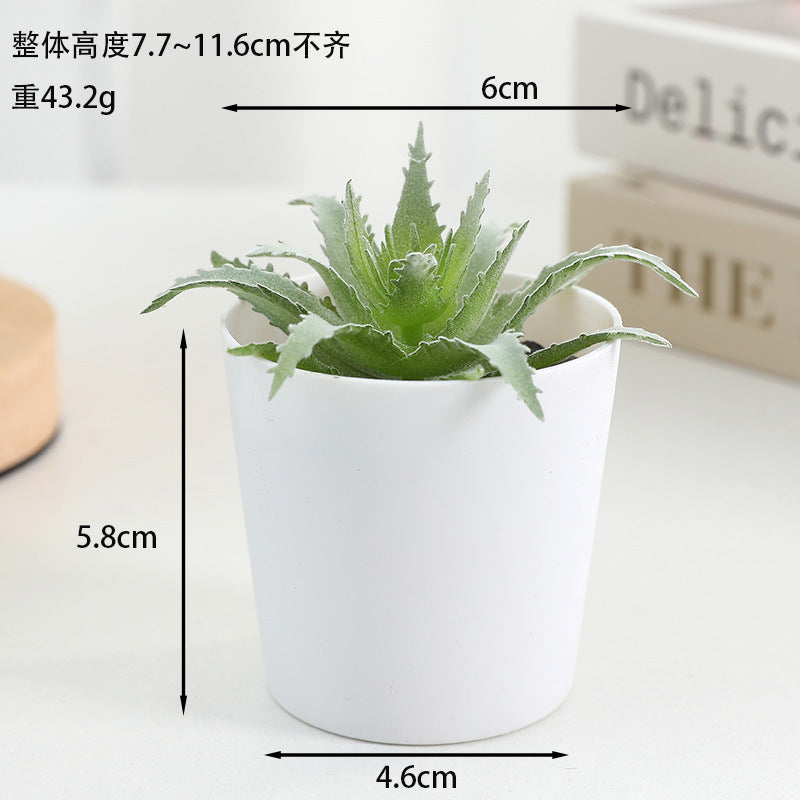 Simulated succulent potted plants wholesale, fake succulent plants with pot mixed batch factory direct sales office green plant ornament