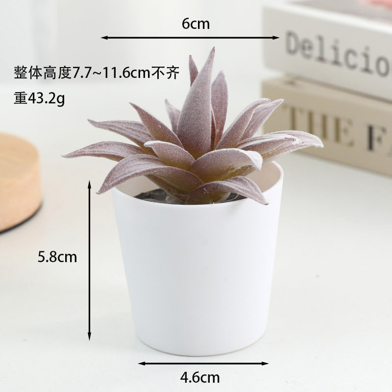 Simulated succulent potted plants wholesale, fake succulent plants with pot mixed batch factory direct sales office green plant ornament