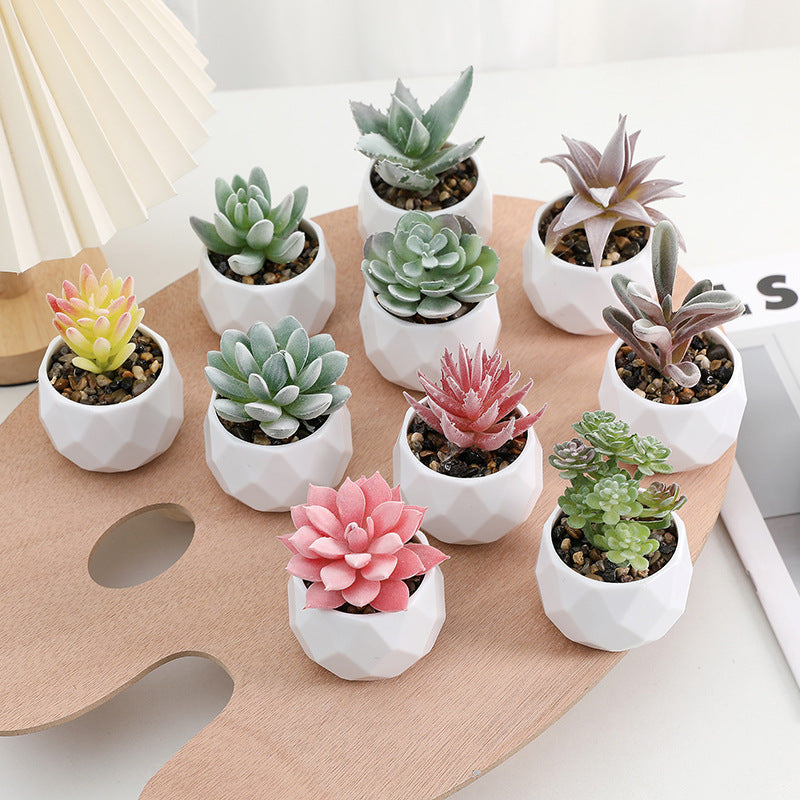 Simulated succulent potted plants wholesale, fake succulent plants with pot mixed batch factory direct sales office green plant ornament